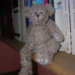 Profile photo of teddy bear Lagbehind