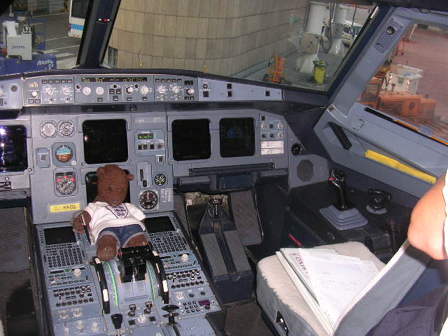 Bearsac sitting in cockpit of aeroplane