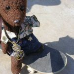 Teddy bear Bearsac on a skatebaord