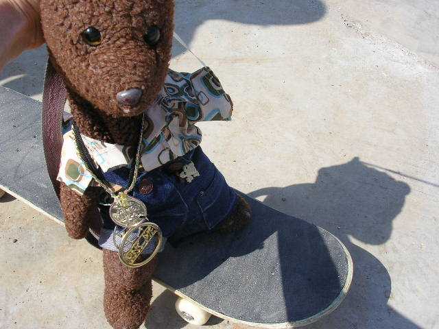 Teddy bear Bearsac on a skatebaord