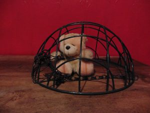 Teddy bear under upturned plant-holder as though is a cage