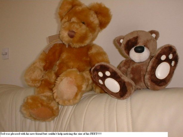 Two teddy bears on a the back of a sofa. One with giant feet.