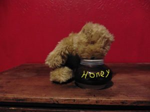 Teddy bear and pot of honey