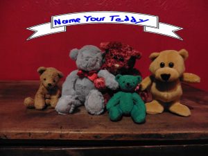 Group of teddy bears with banner reading Name your teddy.