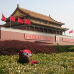 Bearsac lodged in bush in front of Tiananmen Tower
