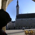 Bearsac in front of Tallinn Town Square