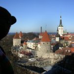 Bearsac beside Tallinn city view