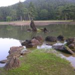 Motsuji temple pond