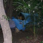 Homemade tarpaulin tents among trees