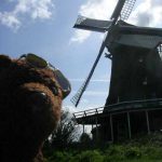 Photo of Bearsac beside a windmill