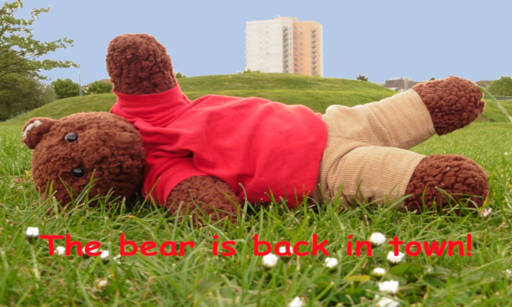Hero image. Bearsac lying on grass with tower block in background.