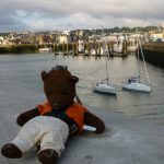 Bearsac at the harbour.