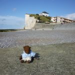 Bearsac sitting on pebble beach