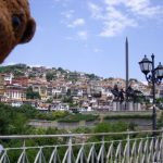 Bearsac in foreground of Veliko Tarnovo houses