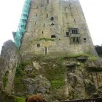 Bearsac looking up at Blarney Castle