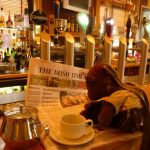 Bearsac sitting on a pub bar, reading the Irish Times