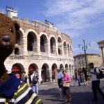 Bearsac in foreground of Verona Arena