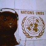Bearscac beside the United Nations sign