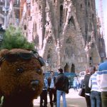 Bearsac in foreground of Sagrada Familia Basilica