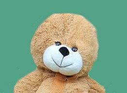 Photograph of teddy bear with no ears
