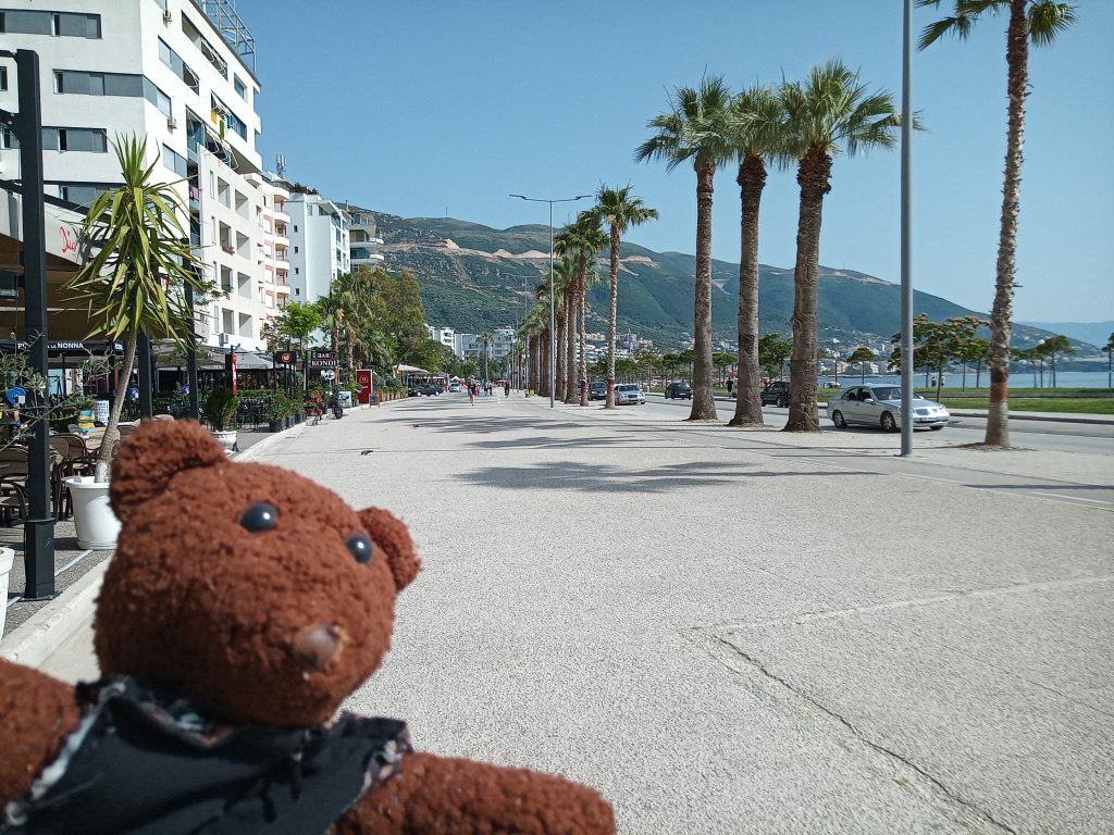 Bearsac in foreground of Vlore palm-treed street scene