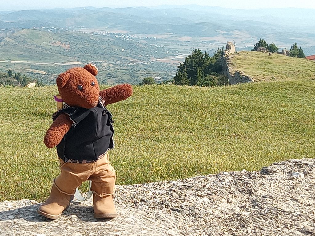Bearsac standing in foreground of Albanian countryside