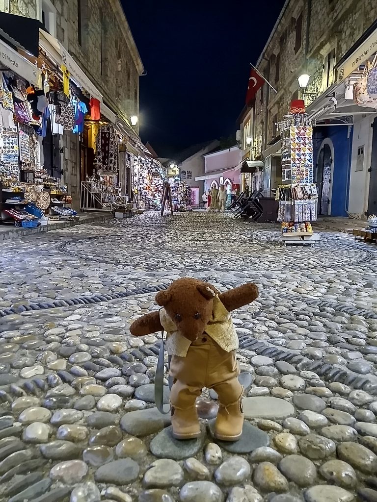 Bearsac standing on cobblestoned path