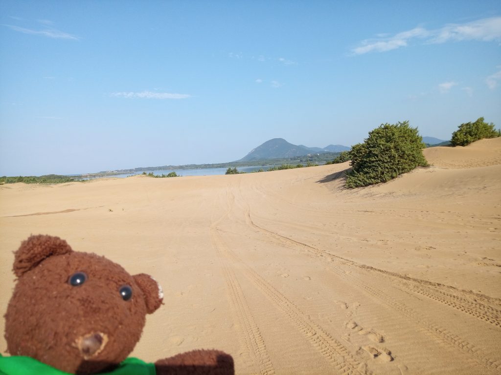 Bearsac by sand dunes with lake in disatnce