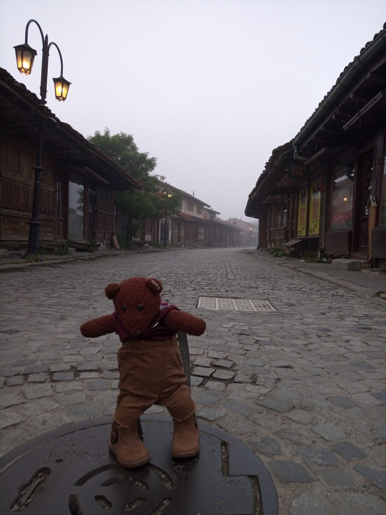 Bearsac standing on a cobbled road with wooden shops each side