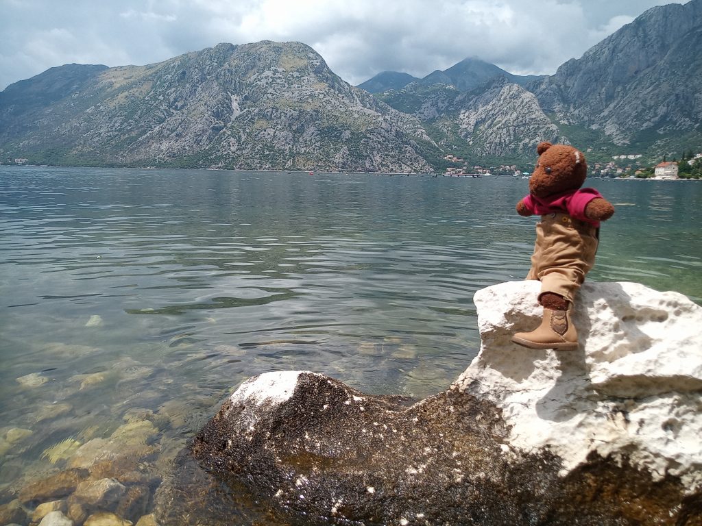 Bearsac astride a rock by water and mountain scene