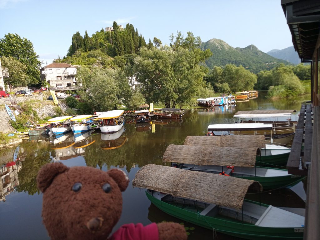 Bearsac in foreground of lake and boats