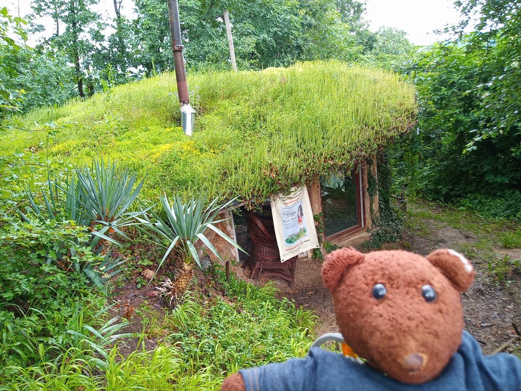 Bearasc in foreground of a earthen house in the woods