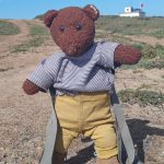 Bearsac the teddy bear standing on the sand