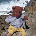Bearsac the teddy bear on some rocks on the beach