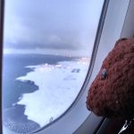 Bearsac the teddy bear besdie airplane window with ice covered land view.