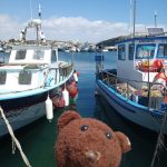 Bearsac the teddy bear in the forground of boats