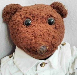 Head and shoulders photo of Bearsac