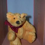Profile photo of teddy bear Imada