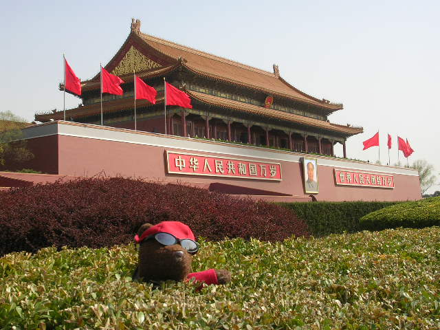 Bearsac lodged in bush in front of Tiananmen Tower