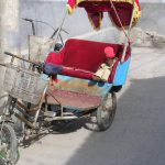 Bearsac in rust rickshaw