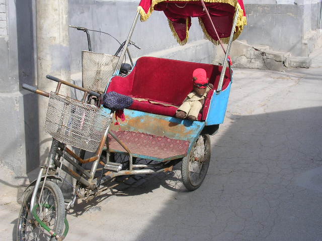 Bearsac in rust rickshaw