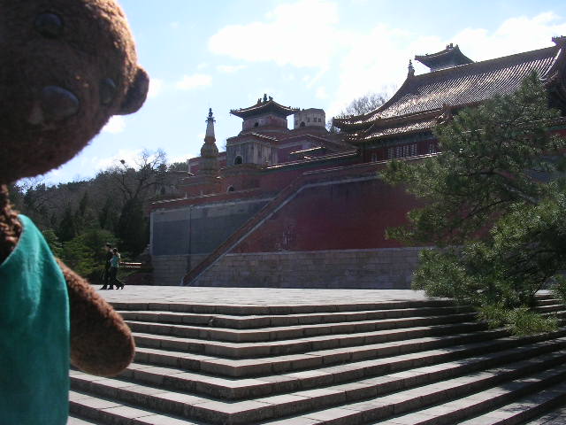 Bearsac in front of Summer Palace