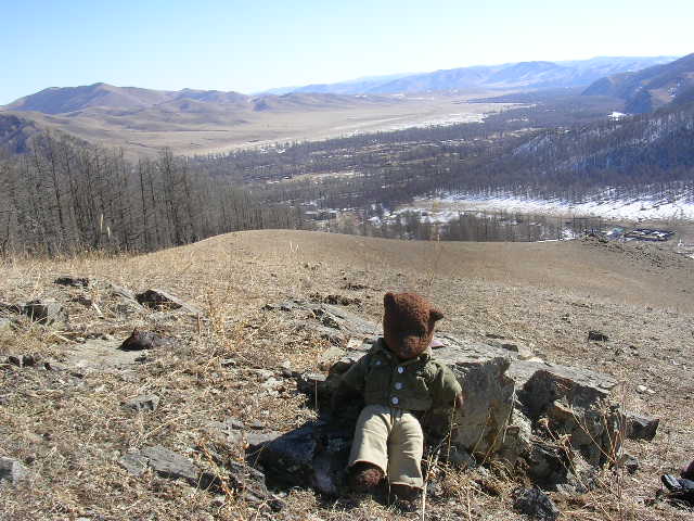 Bearsac on rocks with National park view