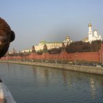 Bearsac beside The Kremlin