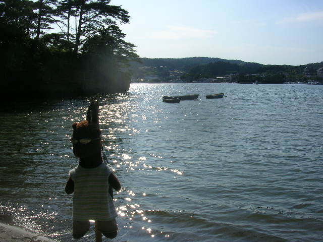 Bearsac hanging on a pole on beach