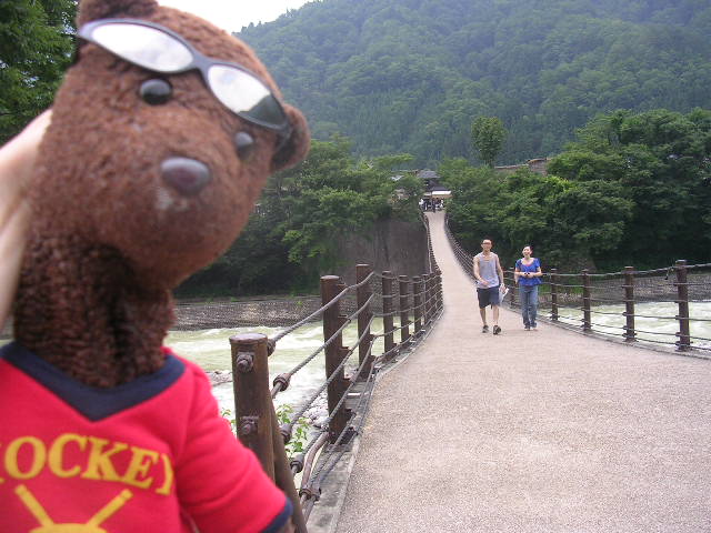 Bearsac on bridge