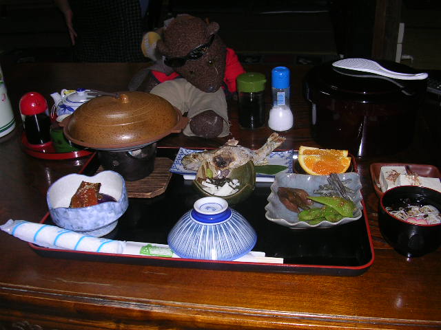 Bearsac looking at artfully presented food