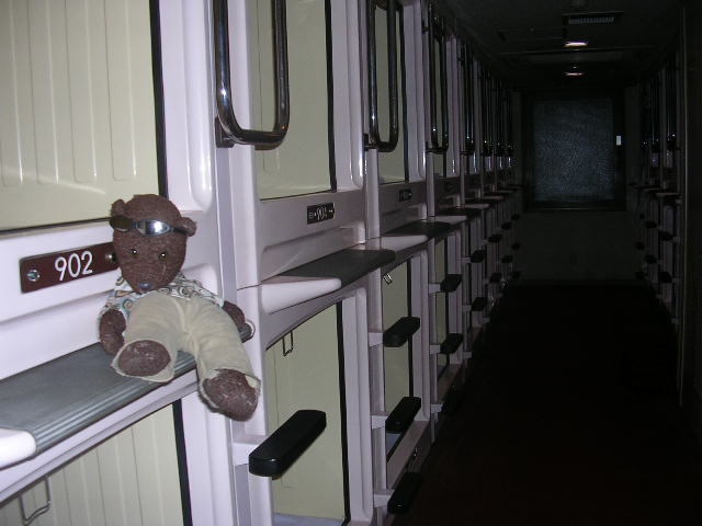 Bearsac sitting on ridge of a sleeping capsule.