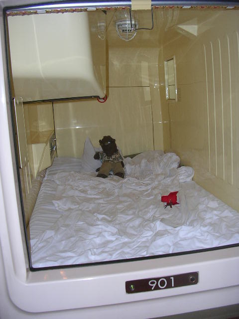 Bearsac sitting inside a sleeping capsule.