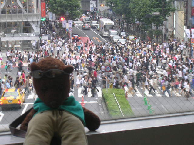 Bearsac in foreground of Shibuya crossing during pedestrians turn